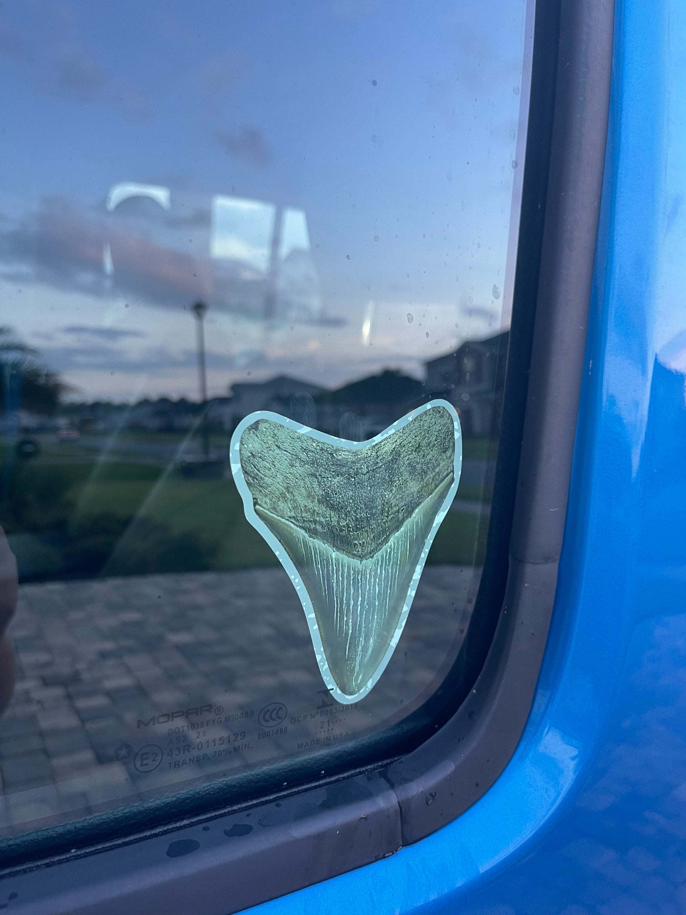 Tooth Tooth Window Megalodon Shark Tooth Cling | Removable Window Decal - Etsy