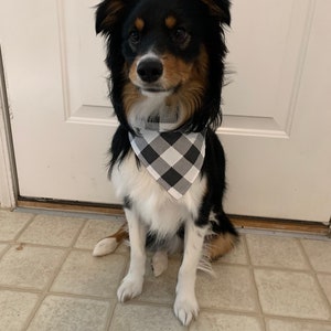 Custom Dog Bandana with Matching Scrunchie