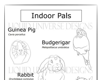 Indoor Pets || Poorly Drawn Animals Coloring Page || Meditation & Stress Relief || Instant Download || Coloring for Relaxation ||