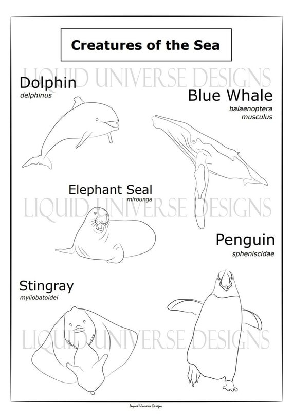 Sea Animals Poorly Drawn Animals Coloring Page Elephant - Etsy