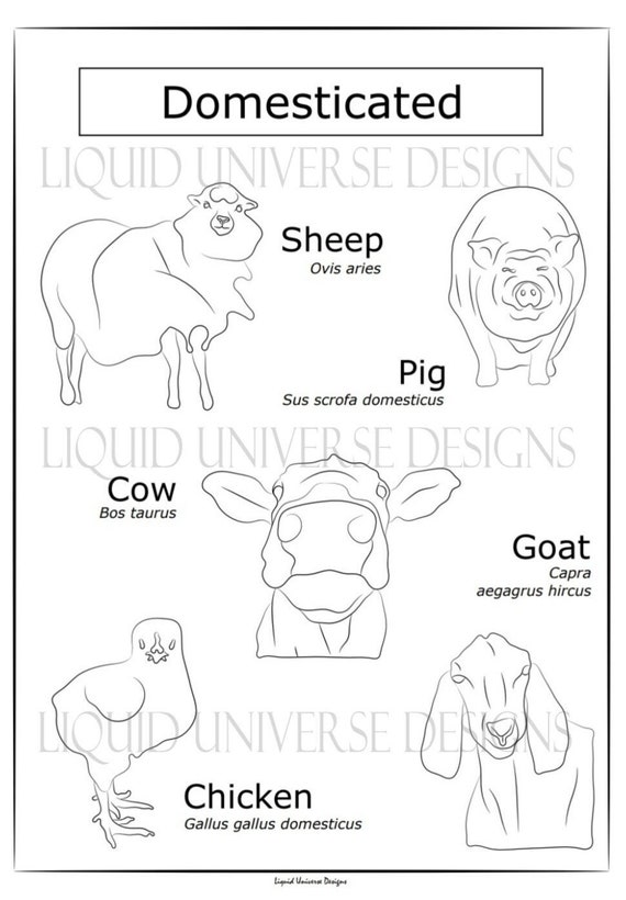 Farm Animals Poorly Drawn Animals Coloring Page Cow - Etsy Farm Animals Poorly Drawn Animals Coloring Page Cow - Etsy