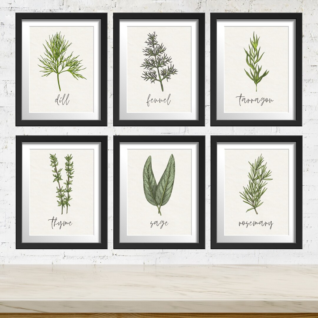 Botanicals Herb Kitchen Gallery Set of 6 | 3 Sizes Included | Digital ...