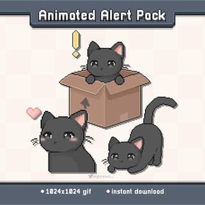Kitty Black Cat Animated Twitch Stream Alert | Stream Decoration GIF