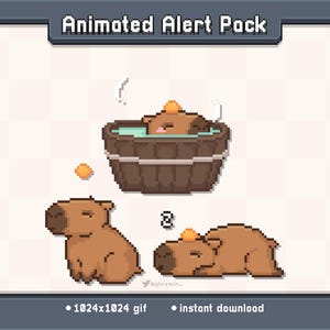 Capybara Animated Twitch Stream Alert Pack | Stream Decoration GIF