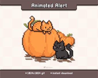 Fall Pumpkin Kitty Animated Twitch Stream Alert | Stream Decoration GIF