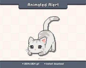 Alerta de transmisión de Twitch animada con movimiento de trasero de gatito blanco / GIF de decoración de transmisión