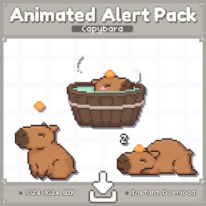 ANIMATED Capybara Twitch Stream Alerts | Stream Pet | Stream Decoration