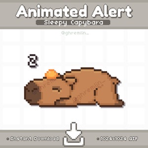 ANIMATED Capybara Sleep Twitch Stream Alert | Stream Pet | Stream Decoration