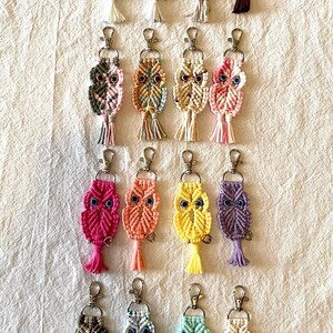 May include: A collection of macrame owl keychains in various colors, including pink, orange, yellow, and purple. Each keychain features a silver clasp and a tassel. The owls have detailed eyes and are arranged on a white fabric background.