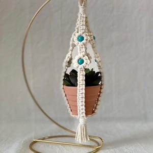 May include: A cream-colored macrame plant hanger with turquoise accents, holding a small terracotta pot with a green succulent. The hanger is suspended from a gold-colored metal stand, creating a decorative display.