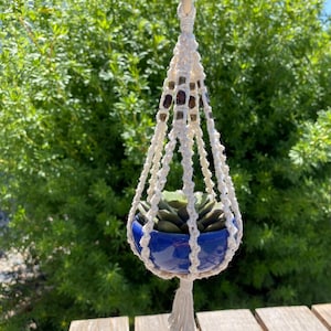 May include: A hanging macrame plant holder with a blue ceramic pot containing a succulent plant. The macrame is cream-colored with dark brown beads. The plant holder is suspended from a metal ring, with a wooden table in the foreground.
