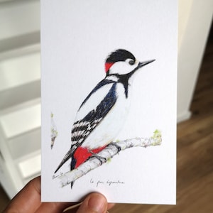 Carte Postale Pic Epeiche