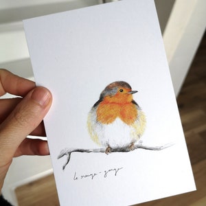 Carte postale Rougegorge N2