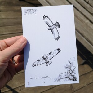 Carte postale Buse Variable