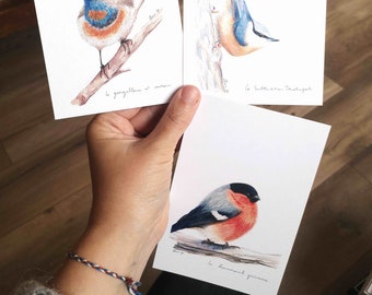 Postcard Bullfinch Peony