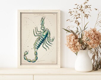 Poster Wall Art Astronomical Chart Illustration Scorpio Zodiac Sidney Hall #RO27 Astronomical Poster, Beige, Green, Constellation Print