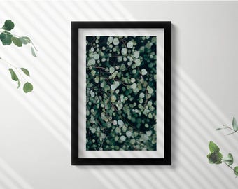 エキゾチックな緑の葉の額入りアート、花と植物の額入りイラスト、緑の