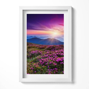 Sunrise And Flowers Framed Art, Landscape Illustration in Frame , Multicolored Wall Art, Home Decorations
