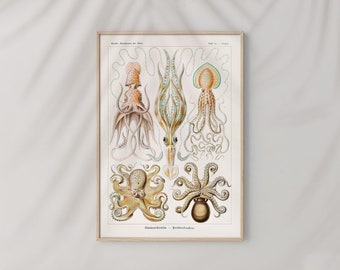 Poster Wall Art Gamochonia Octopus Print Ernst Haeckel #RO479  Orange, Yellow, Retro Nature Print, Ernst Haeckel Poster, Art Replica