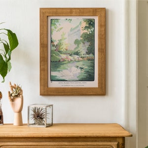May include: A framed vintage illustration of the Hotel Plaza in New York City, seen from Central Park. The illustration is in a wooden frame and features a view of the hotel with swans in the foreground.