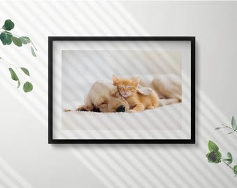 Sleeping Animals Cat And Dog Framed Art, Animals Illustration in Frame , Beige Wall Art, Home Decorations
