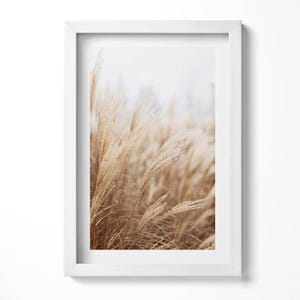 Nature Boho Grass Cereals Framed Art, Flowers and plants Illustration in Frame , Beige Wall Art, Home Decorations
