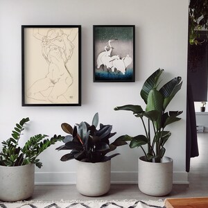 May include: Three black framed prints on a white wall. The left print is a line drawing of a nude woman. The center print is a black and white image of a group of white birds. The right print is a black and white image of a group of white birds. Three potted plants are in front of the prints.