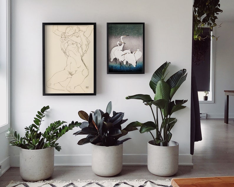 May include: Three black framed prints on a white wall. The left print is a line drawing of a nude woman. The center print is a black and white image of a group of white birds. The right print is a black and white image of a group of white birds. Three potted plants are in front of the prints.
