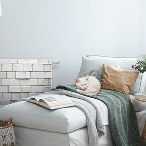 Può includere: Un gatto bianco dorme su un divano bianco con una coperta di lana verde. Un libro aperto si trova sul divano. Una lampada bianca con un treppiede in legno si trova sullo sfondo.