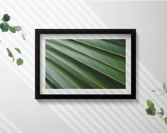 Green Plant Texture Print in Frame, Flowers and plants Art Print, Green Wall Art, Home Decorations