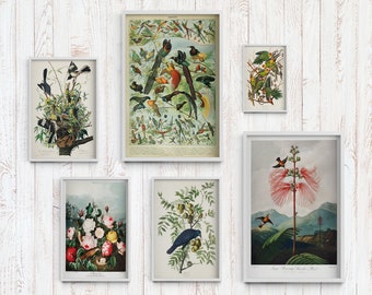 Composizione di poster sulla biodiversità, arazzo retrò, tema beige old school, opera d'arte eclettica nera, regalo di nozze retrò, grafica di qualità