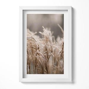Boho Delicate Grasses Painting in Frame, Flowers and plants Wall Art in Frame, Beige Wall Art, Home Decorations