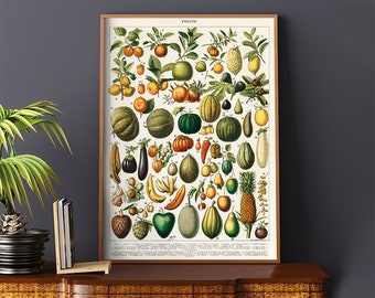 May include: A vintage botanical illustration of various fruits, including melons, citrus fruits, and pineapples. The illustration is in a detailed, realistic style with vibrant colors and intricate details. The title "FRUITS" is printed at the top of the illustration.