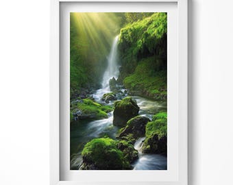 Può includere: Una lussureggiante foresta verde e muschiosa con una cascata che scende da una scogliera rocciosa. La luce del sole filtra tra gli alberi, illuminando l'acqua e creando un'atmosfera serena.