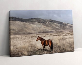 Steed horse among the grass Canvas, Picture Wall Hanging, Brown Wall Art, Animals Canvas Painting