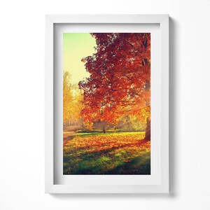 Autumn Park Framed Art, Landscape Illustration in Frame , Orange Wall Art, Home Decorations