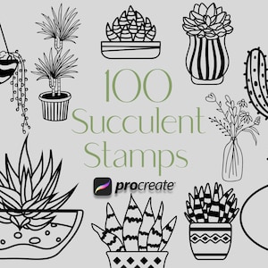 Op de afbeelding: Een set van 100 zwart-wit illustraties van vetplanten voor gebruik met de Procreate-app. De illustraties omvatten een verscheidenheid aan vetplanten, waaronder cactussen, aloë vera en echeveria.