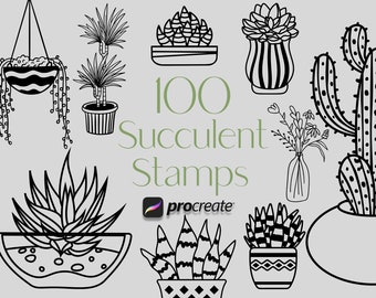 May include: A set of 100 black and white succulent plant illustrations for use with the Procreate app. The illustrations include a variety of succulents, including cacti, aloe vera, and echeveria.