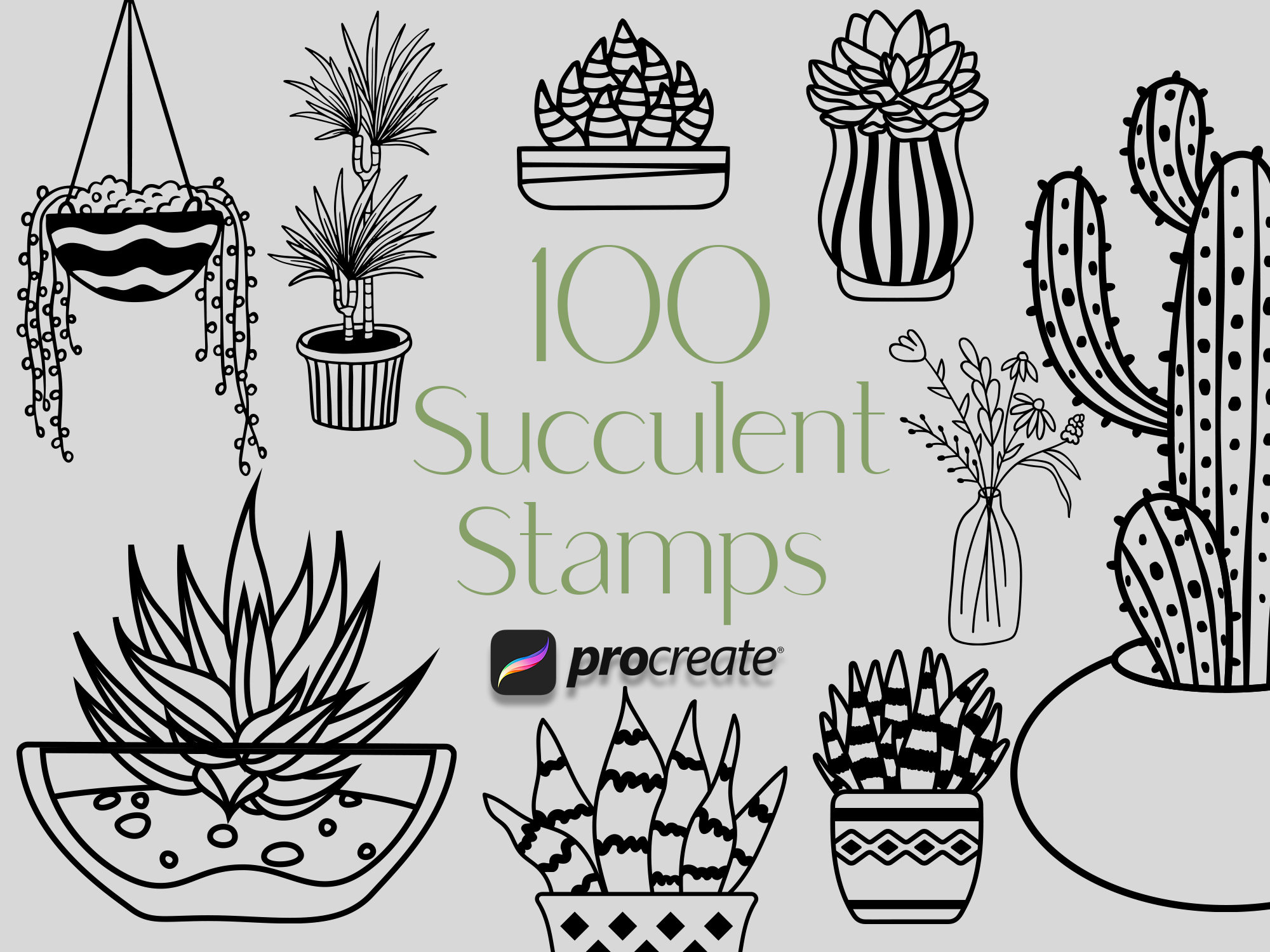 100 Succulent Cactus Procreate Stamps: Potted Plant Brush Set (digital ...