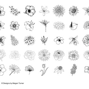 May include: A collection of 36 black and white line drawings of various flowers. The drawings are simple and elegant, and they would be perfect for use in a variety of creative projects.