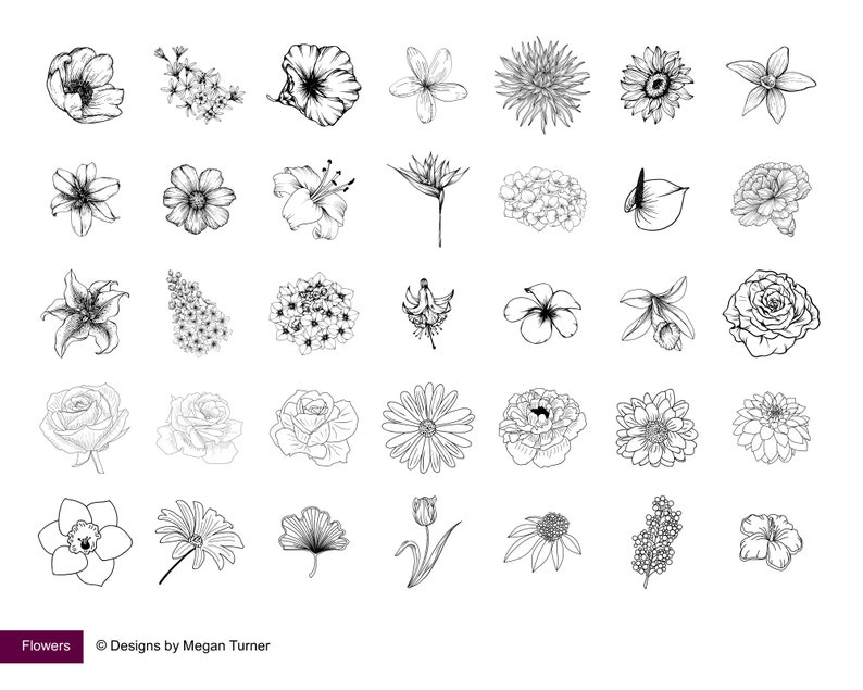May include: A collection of 36 black and white line drawings of various flowers. The drawings are simple and elegant, and they would be perfect for use in a variety of creative projects.