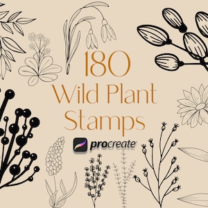 Procreate Wildflower, Procreate Flowers, Procreate Botanical, Flower Brush, Floral Stamps, procreate stamps, procreate brushes, brushset