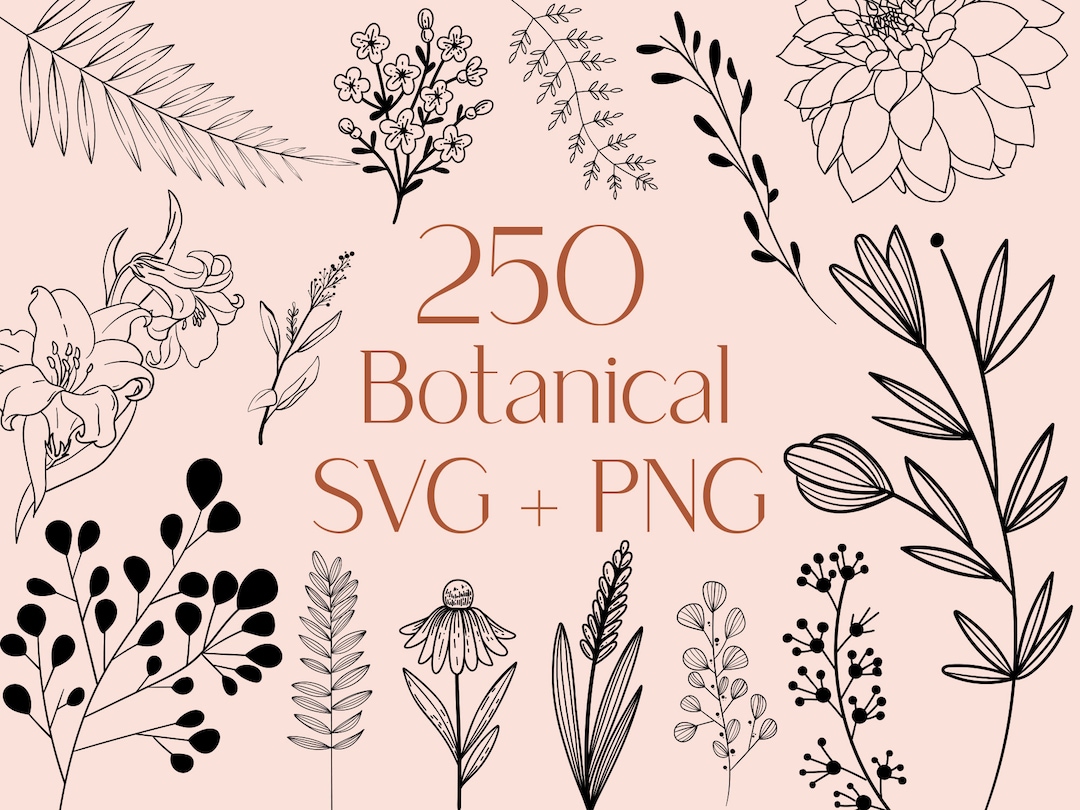 250 Botanical Line Art SVG Bundle: Floral & Branch Clipart (commercial ...