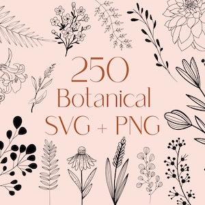 Botanische SVG, Blume SVG, Floral Art, Blätter Art svg, Zweige svg, Botanische Clipart, Blumen Clipart, Wildblumen svg, Ausmalbild svg