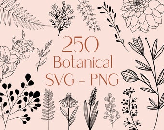 250 Botanical Line Art SVG Bundle: Floral & Branch Clipart (Commercial Use)