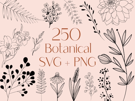 250 Botanical Line Art SVG Bundle: Floral & Branch Clipart (Commercial Use)