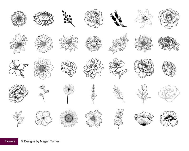 May include: A collection of 36 black and white line drawings of various flowers, including roses, lilies, sunflowers, and daisies. The drawings are simple and elegant, and would be perfect for use in a variety of creative projects.