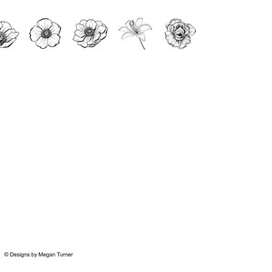 May include: Five black and white line drawings of flowers. The flowers are a lily, a rose, and three anemones.
