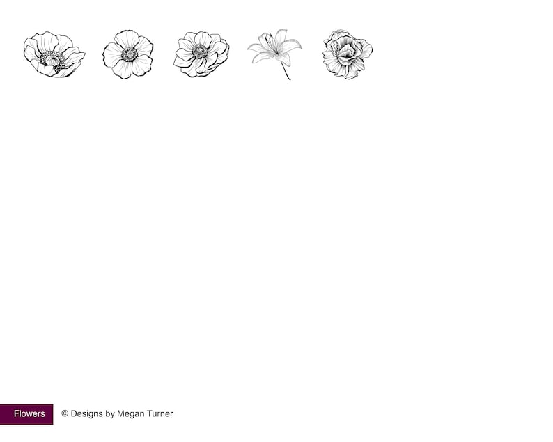 May include: Five black and white line drawings of flowers. The flowers are a lily, a rose, and three anemones.