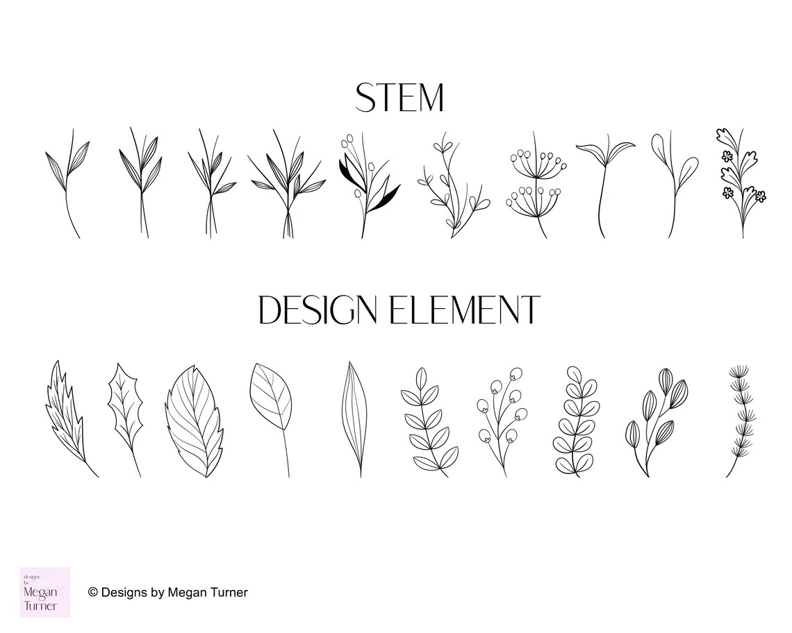 Birth Month Flower Stamps: Botanical Procreate Brushes (commercial Use ...